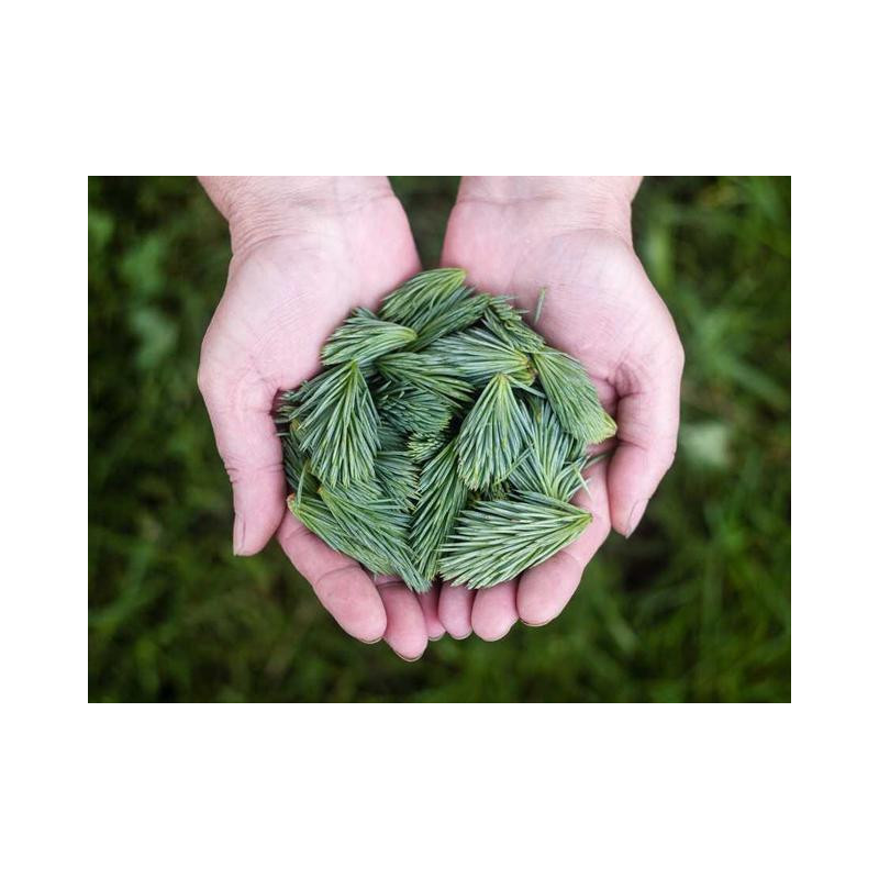 Aerodynamic Cotton Shoes fr-FR